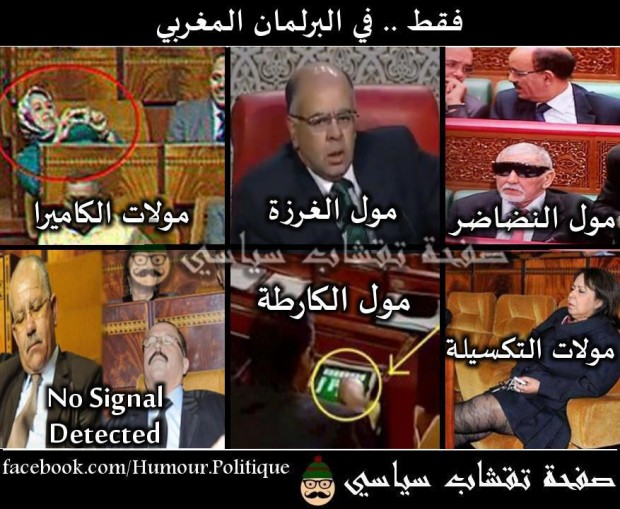 البرلمان المغربي.. برلمان مول…