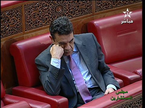 الوفا في البرلمان.. صباح الخير