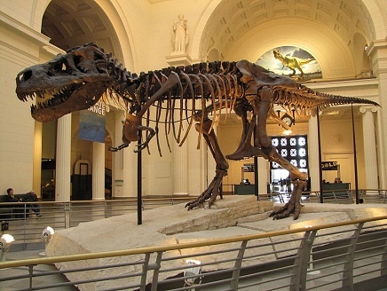 ثمن قياسي.. هيكل عظمي لديناصور عملاق بـ650 ألف دولار