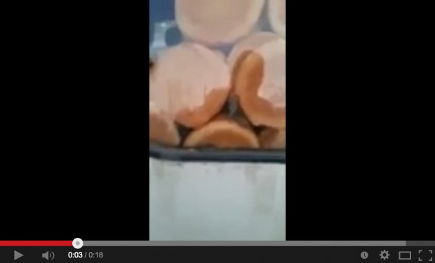 بالفيديو.. الفيران وسط الخبز