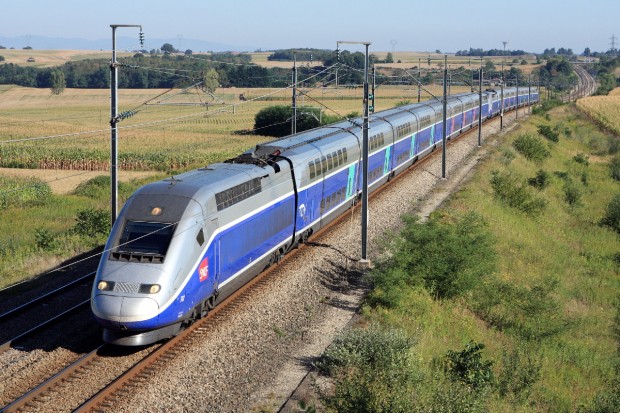 مشروع.. TGV يربط المغرب والجزائر وتونس