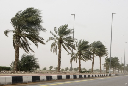 نشرة خاصة.. رياح قوية في بعض المدن