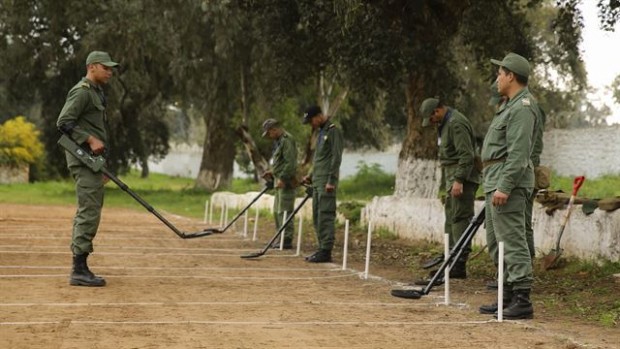 قرب الجدار الأمني.. الجيش المغربي يعتزم إزالة الألغام بتدريب من المارينز الأمريكي (صور)