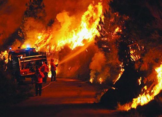 البرتغال.. 57 قتيلا و59 جريحا في حريق غابوي