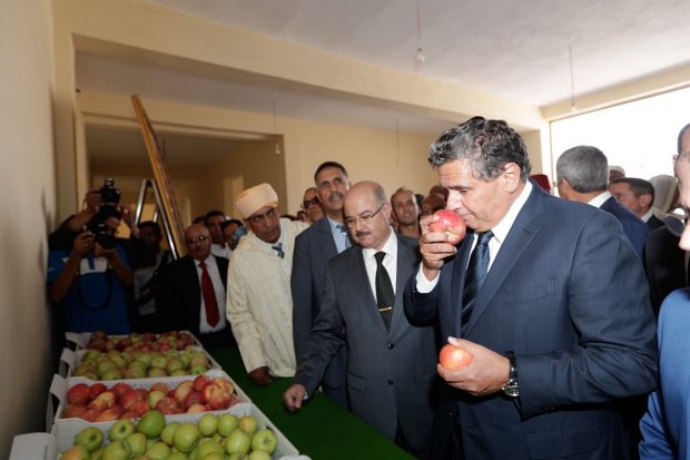 بالصور.. أخنوش يتفقد المغرب الأخضر في تنغير