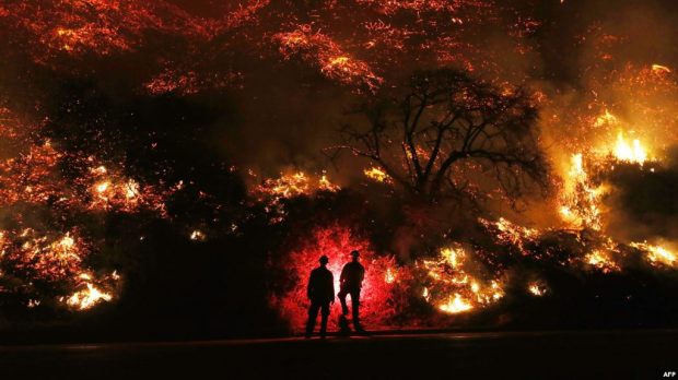 500 مبنى دُمرت/ 200 ألف شخص هجروا بيوتهم/ 5700 رجل إطفاء.. النيران تلتهم غابات كاليفورنيا وترامب يعلن حالة الطوارئ