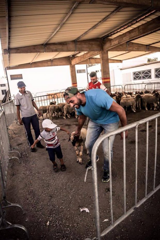 بالصور.. بدر هاري كيفرّق الحوالا
