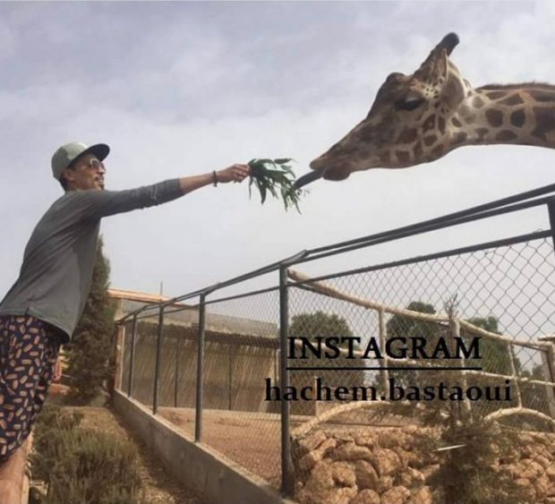 حديقة الرباط.. البسطاوي والزرافة