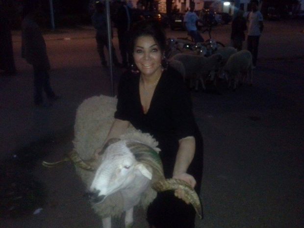 قالتها الصورة.. ليلى غفران والحولي