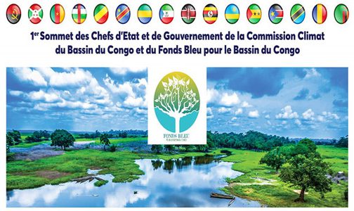 تبعاً لإعلان مراكش.. عمل كبير ينتظر لجنة المناخ بحوض الكونغو