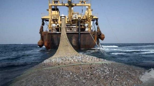 الصيد البحري.. تفويض اللجنة الأوروبية بالتفاوض مع المغرب دون شروط