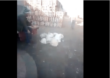 حتى جهة ما تحرّكات من بعد الفيديو.. المسؤولين ديال كازا بغاوكم تاكلو الدجاج وبيبي مريض!!
