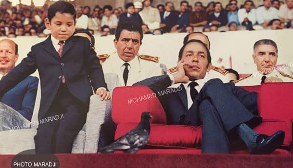 حكاية صورة.. حمامة تأسر نظر الملك محمد السادس في مباراة لكرة القدم