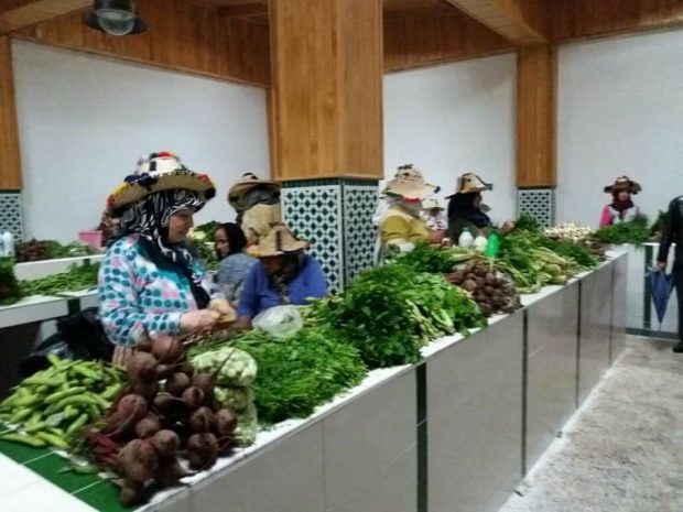 124 ألف مستفيد من مشروع تأهيل الباعة المتجولين.. الدولة تنظم الفرّاشة