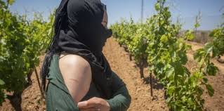 فضيحة “عبيد الجنس” المغربيات.. وزارة الشغل كتغطي الشمس بالغربال!
