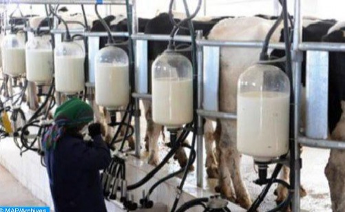 وزارة الفلاحة: استعمال “الغبرة” في صناعة الحليب ممنوع منذ سنة 2000