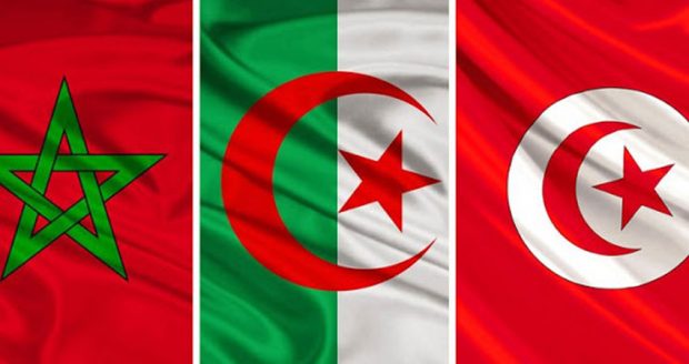 لاستضافة مونديال 2030.. برلماني تونسي يدعو إلى ترشح مشترك لدول المغرب العربي