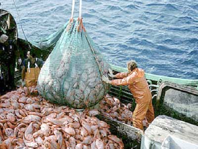 المغرب مرتاح.. اتفاق الصيد البحري مع الاتحاد الأوروبي سالا