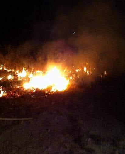 بعد طانطان.. حريق في غابة جبل بوعنان في تطوان