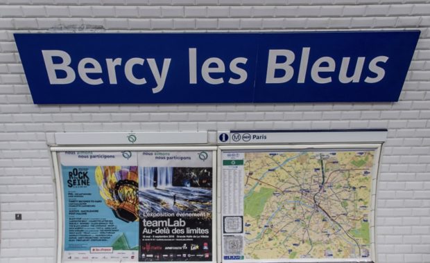 احتفالا بكأس العالم.. تغيير أسماء 6 محطات في مترو باريس (صور)