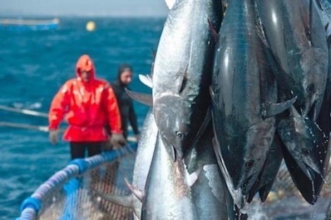 اتفاقية الصيد البحري مع الاتحاد الأوروبي.. الانتصار المغربي