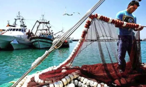 رغم المناورات.. الاتحاد الأوروبي لا يقاوم السمك المغربي