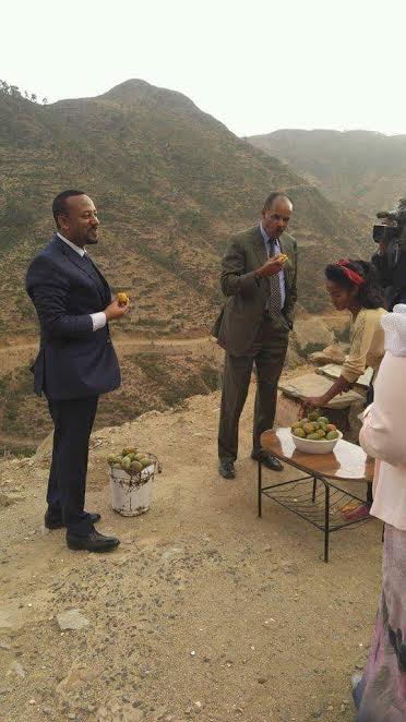 أطول نزاع في إفريقيا.. مصالحة بين إثيوبيا وإيريتريا بطعم “أكناري”