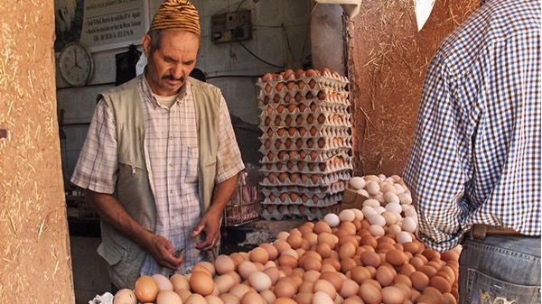 في عام واحد.. المغاربة استهلكوا 5.5 مليار بيضة!