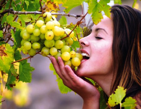 قالوها العلماء.. العنب يفيد في مواجهة سرطان الرئة!