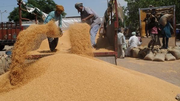 إضافة إلى روسيا وأوكرانيا.. المغرب سيستورد 3 ملايين طن من القمح الفرنسي