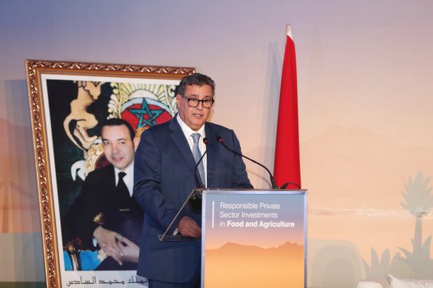مراكش.. عزيز أخنوش يؤكد اهتمام المغرب بالاستثمار الخاص في المجال الفلاحي