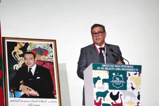 مراكش.. أخنوش يعلن قرب إصدار قانون جديد حول الأدوية البيطرية