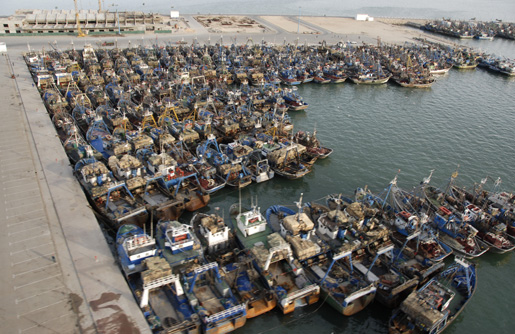 بسبب سوء الأحوال الجوية.. وزارة الصيد البحري تحذر البحارة في جهة الداخلة