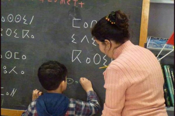 الصمدي: 600 ألف تلميذ يدرسون اللغة الأمازيغية