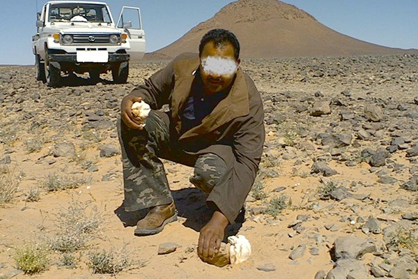 مفيد صحيا.. صحراويون يواجهون خطر الألغام بحثا عن الترفاس!