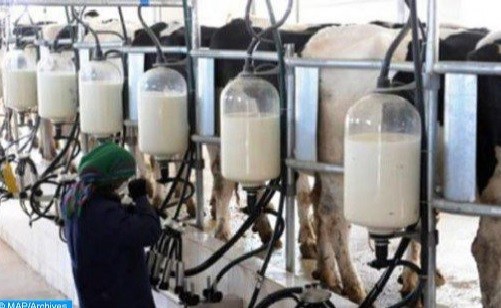 صناعة الحليب.. الحكومة تشدد الشروط