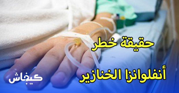شحال اللي ماتوا وشحال اللي فحالة خطيرة.. حقيقة خطر أنفلوانزا الخنازير