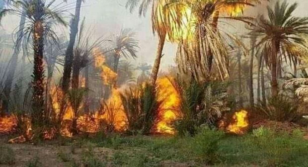 بالفيديو.. حريق كبير في جماعة أفوس إقليم الراشيدية