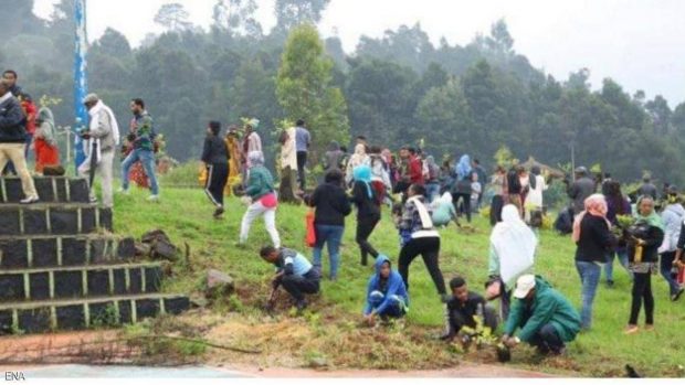رقم قياسي.. إثيوبيا تزرع 353 مليون شجرة في يوم واحد