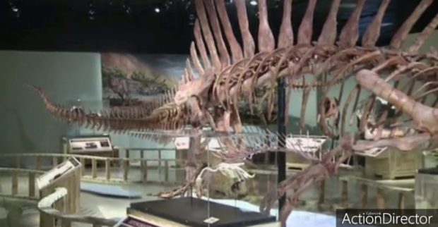 لقاوه فموقع الزريكات حدا أرفود.. باحثون يكتشفون أول “ديناصور مائي” في العالم (فيديو)