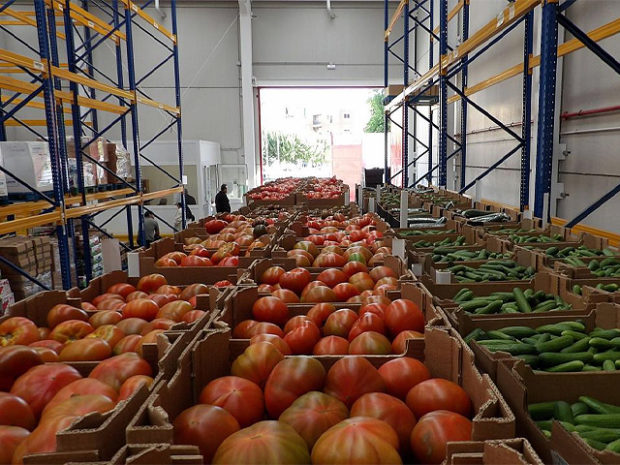 سوق الطماطم.. المغرب يتفوق على إسبانيا في الاتحاد الأوروبي
