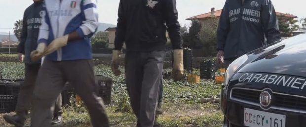 إيطاليا.. اعتقال 3 أشخاص من بينهم مغربي بتهمة استغلال مزارعين مغاربة 