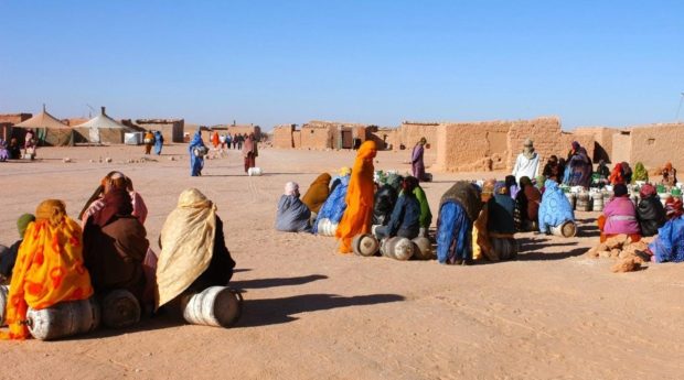 نزهة الوافي: فضح الخروقات القانونية والإنسانية والأخلاقية في مخيمات تندوف يتصدر أولويات الدبلوماسية المغربية