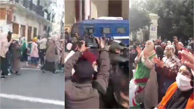 حراك أنثوي في 8 مارس.. جزائريات ينظمن وقفة احتجاجية ضد النظام العسكري وتبون (فيديو)