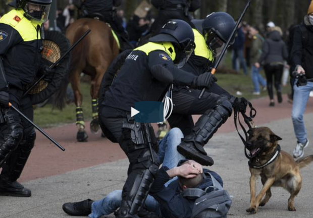 فيديو ـ الزرواطة الهولندية.. البوليس لا يرحم المحتجين على الحكومة