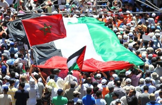 التضامن ماشي جديد عليه.. المغرب في الصفوف الأمامية للتضامن الدولي مع الشعب الفلسطيني