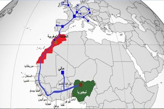 سيمتد على طول 5660 كيلومترا.. الحكومة النيجيرية تستعد لبناء خط أنبوب الغاز بين نيجيريا والمغرب