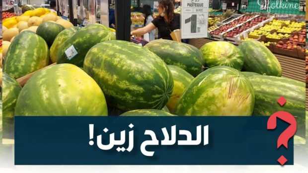 مغاربة خايفين منو والصبليون باغينو.. الدلاح المغربي عليه الطلب فإسبانيا
