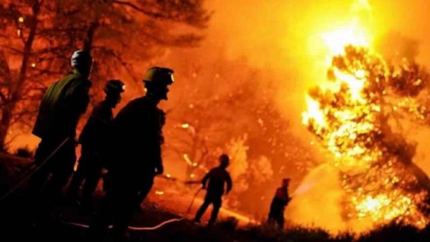 31 حريقا في 13 ولاية.. 5 قتلى جراء حرائق غامضة في غابات الجزائر