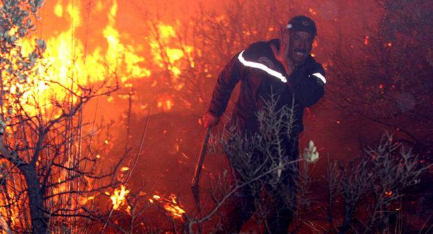 81 حريق باقي شاعل.. ارتفاع حصيلة قتلى حرائق الغابات في الجزائر إلى 65